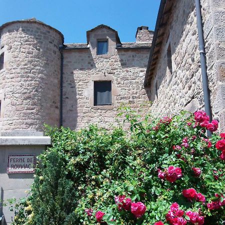 Villa Gite De Rouviac Castelnau-Pégayrols Exterior foto